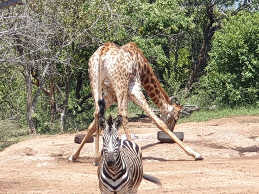 4 Bedroom Property for Sale in Brits Rural North West